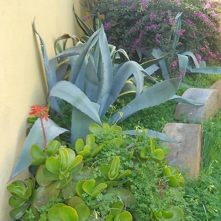 Torre Tabia Country house *